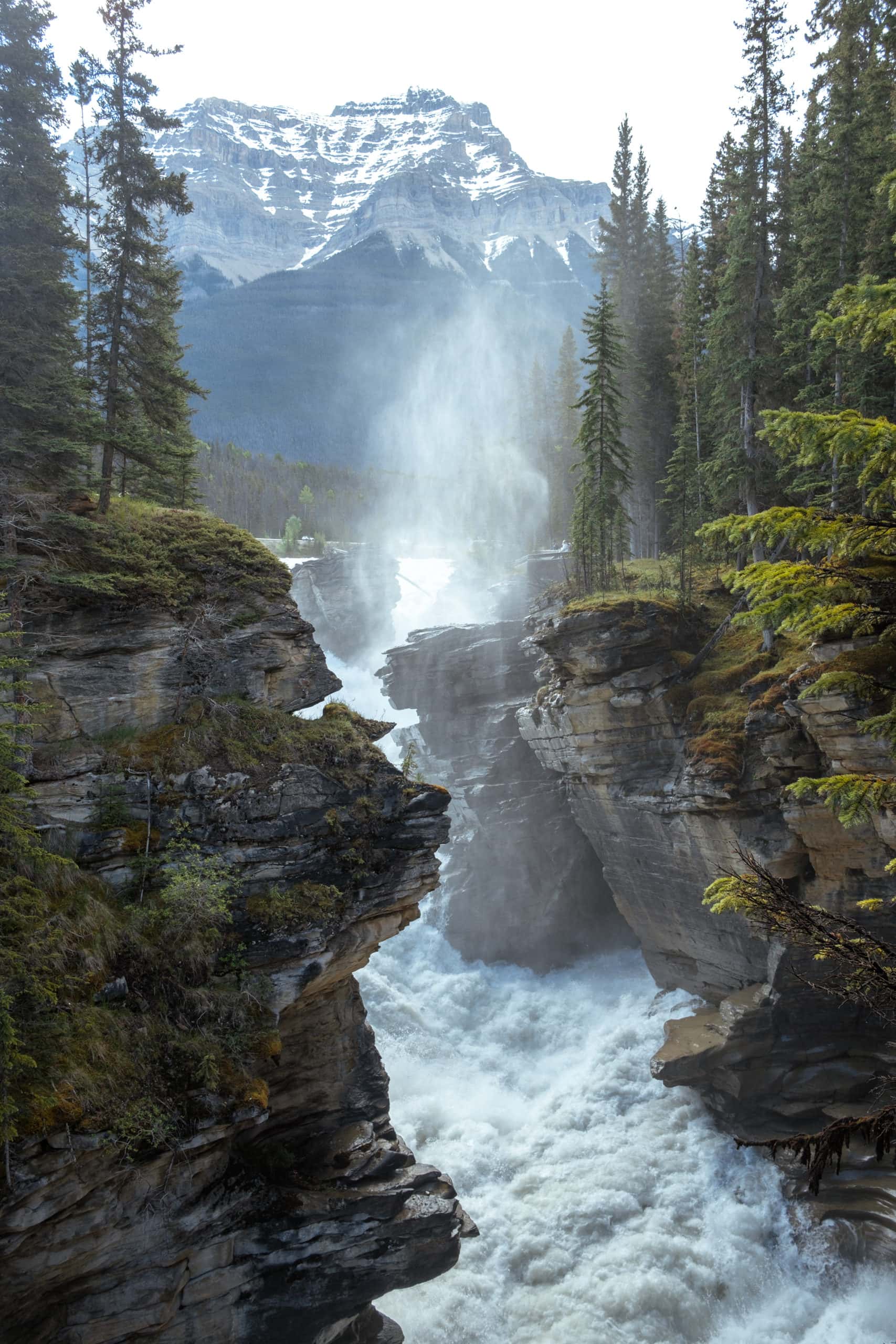 Intense mist at Athabasca Falls.