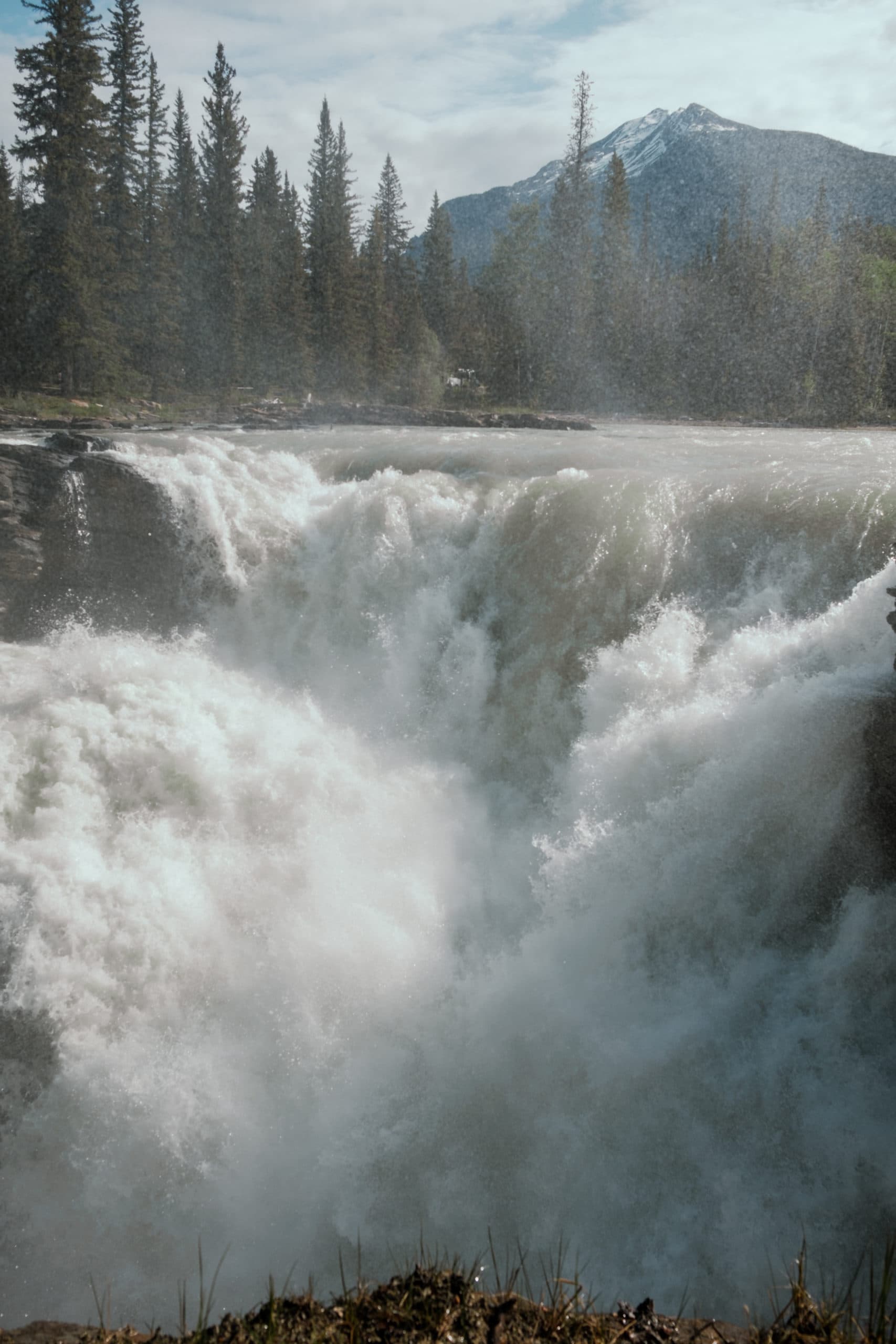 The powerful Athabasca Falls.