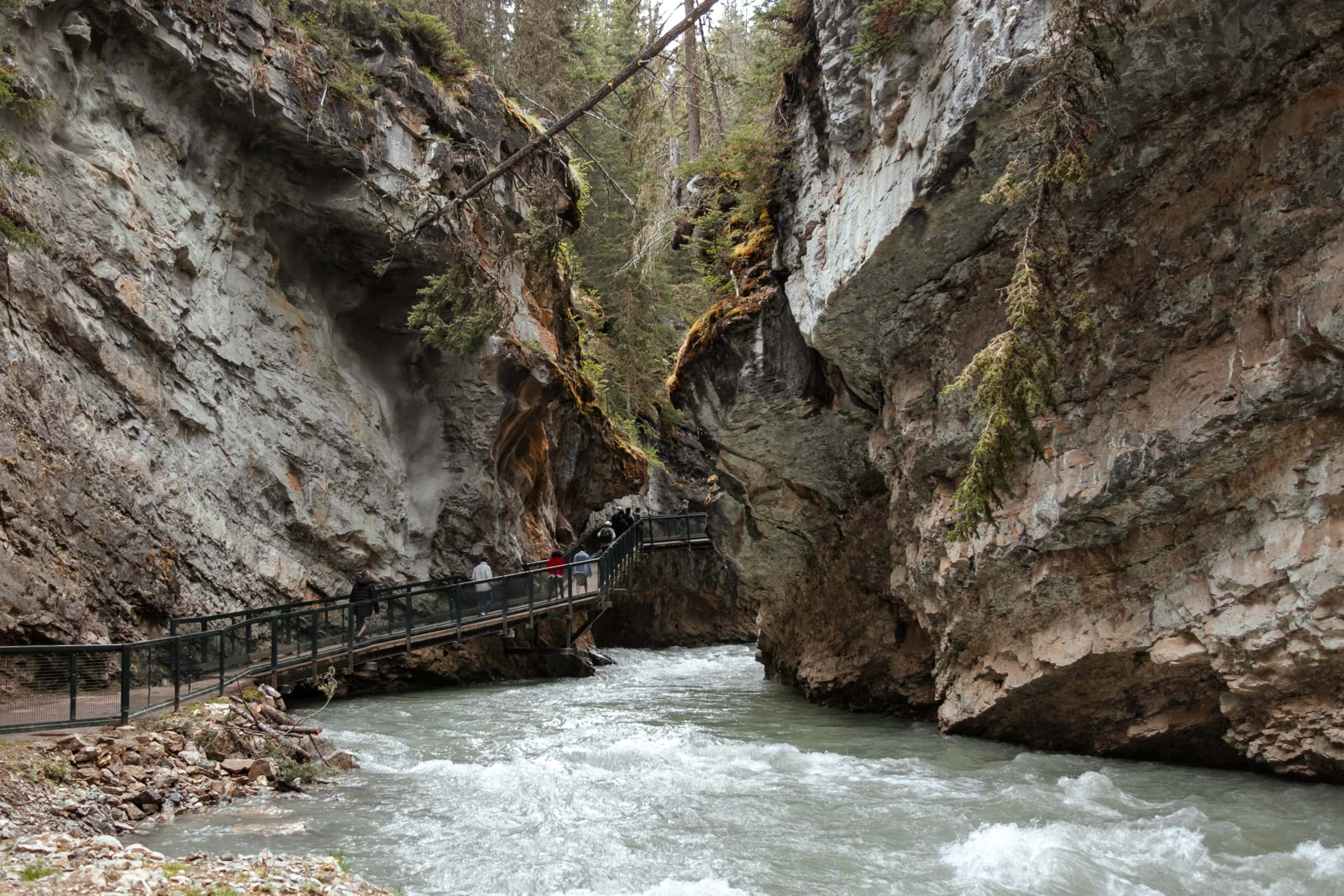 People walk along a path on the side of a mountain beside a river.