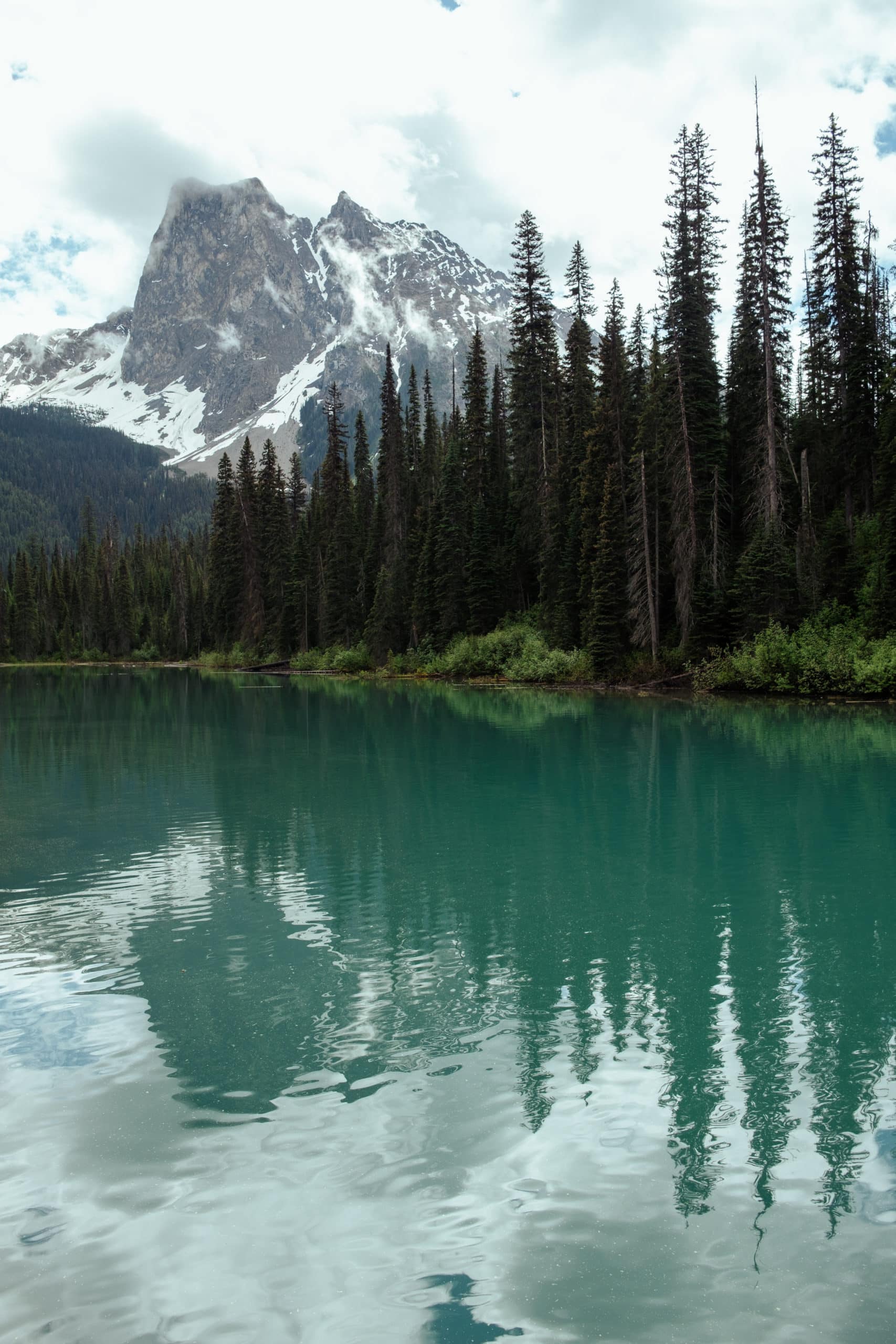 Trees reflecting in Emerald Lake.