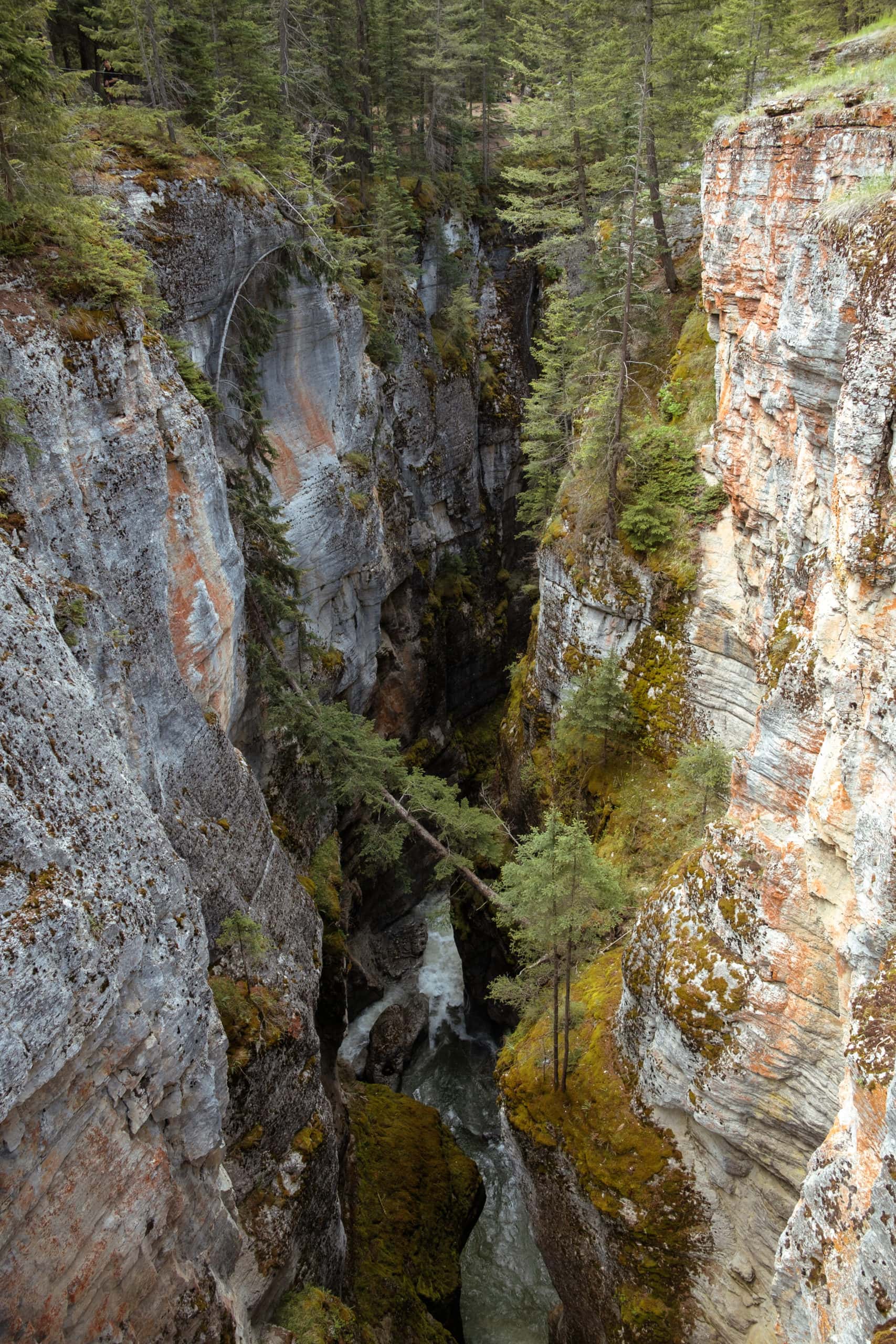 The deep Maligne Canyon.