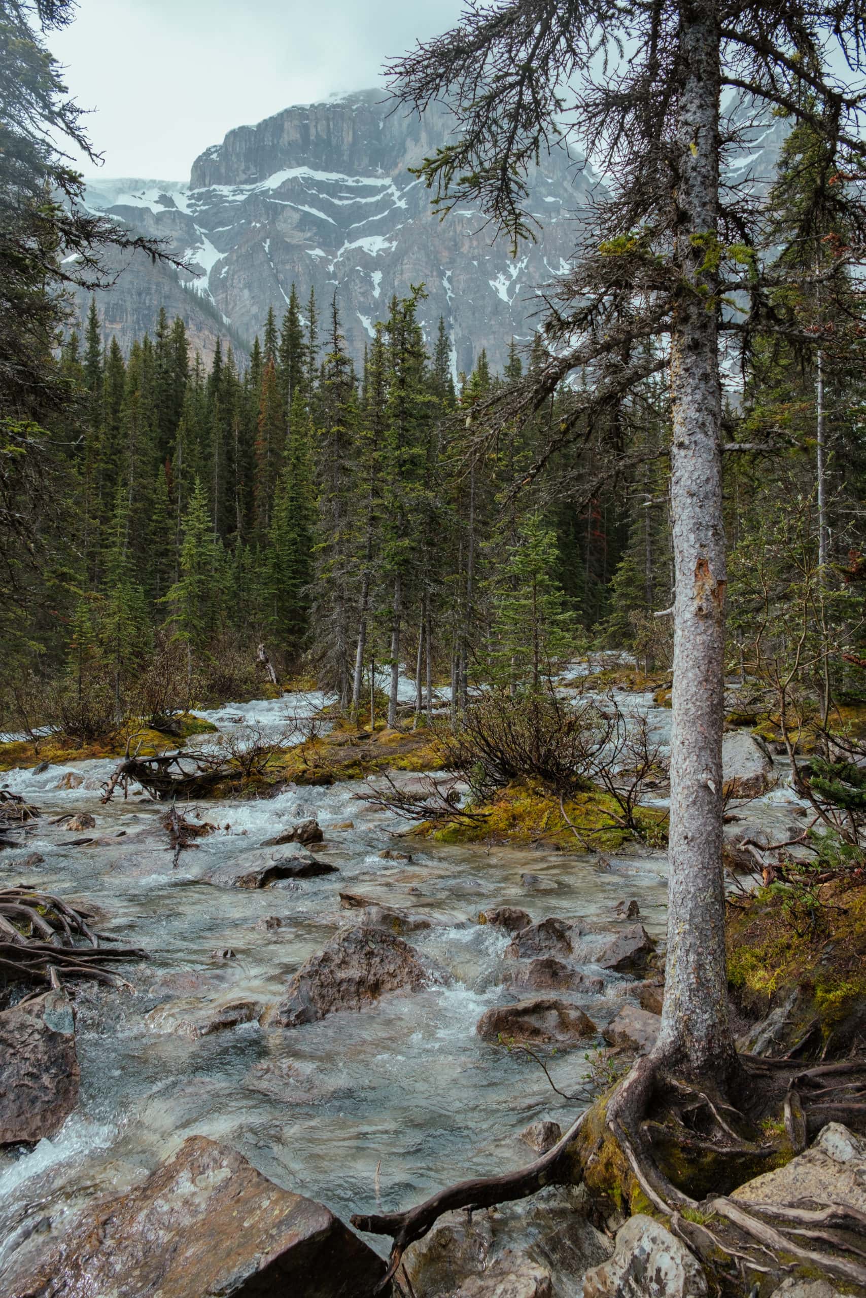 The end of the Lakeshore Trail at Moraine Lake.
