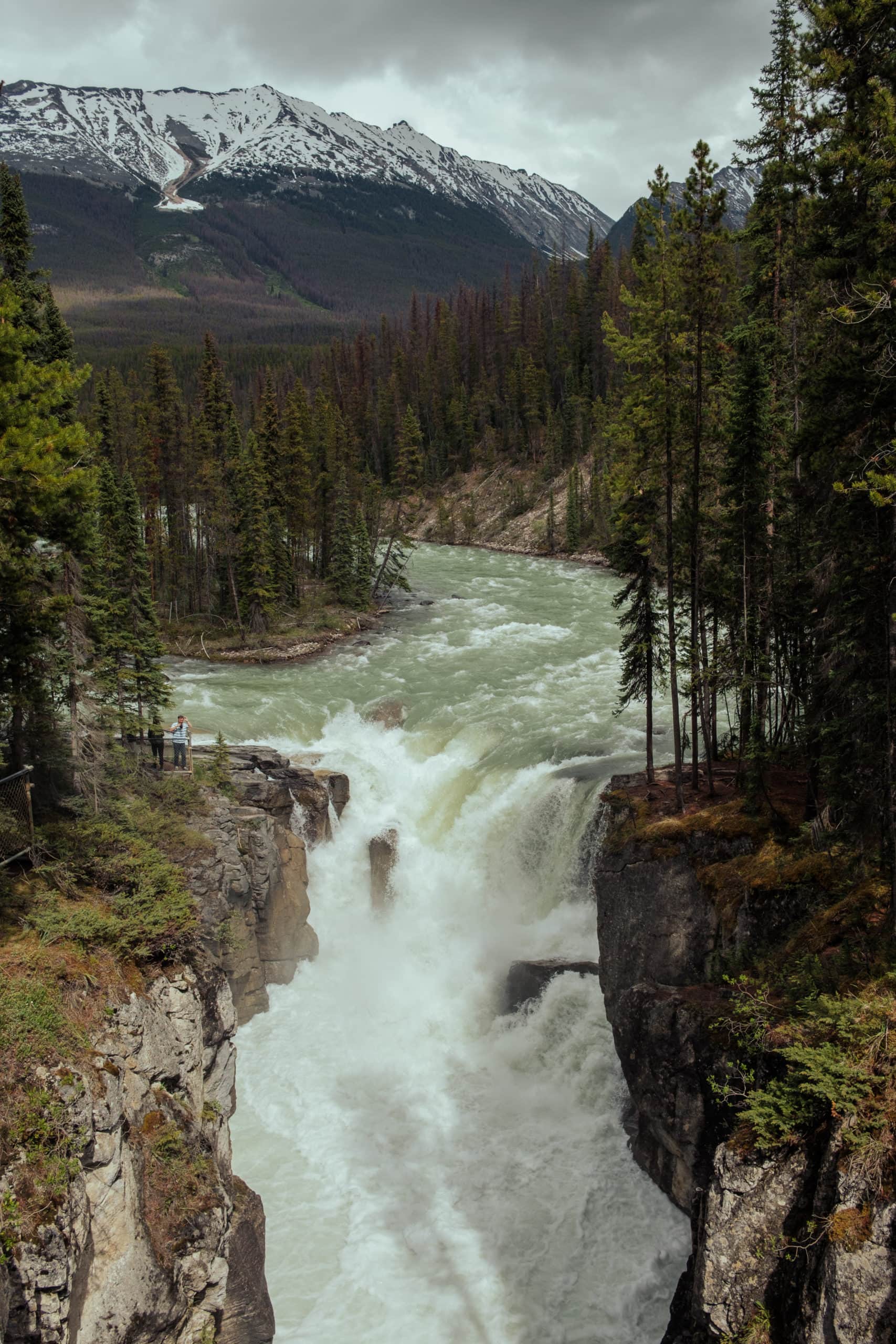Sunwapta Falls from above.