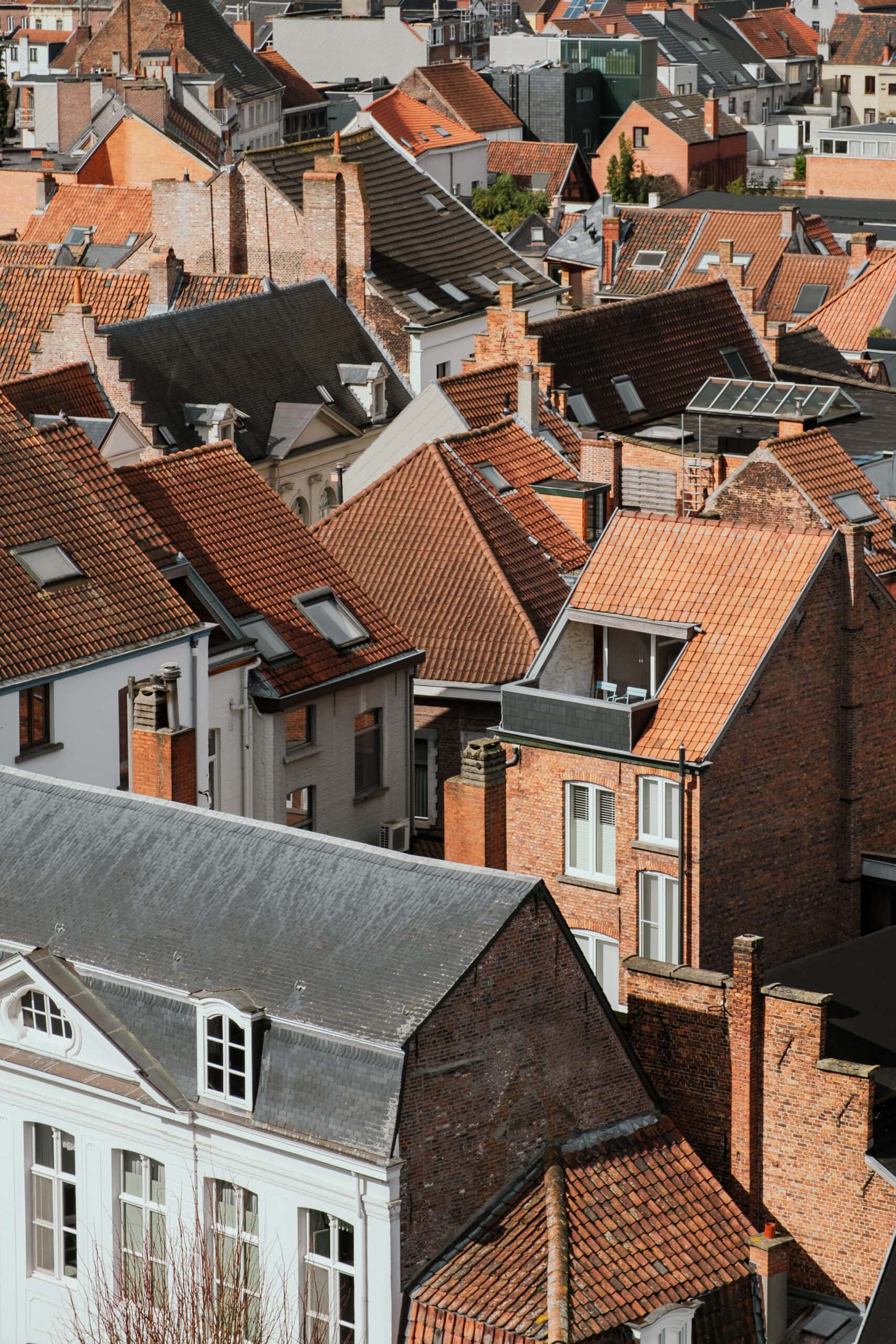 Rooftops in Ghent, as seen from Gravensteen.