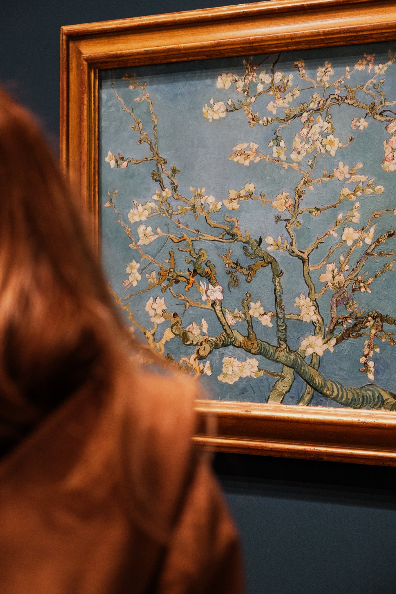 Person looking at van Gogh's Almond Blossoms.