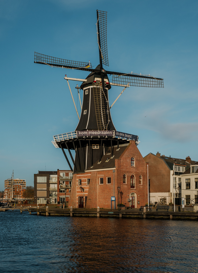 A windmill in Haarlem.