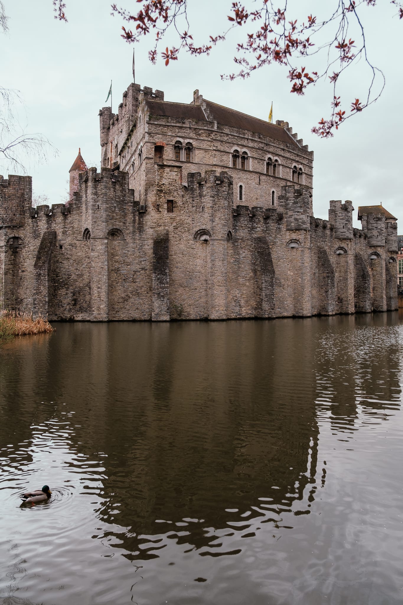 Gravensteen reflecting in the river.