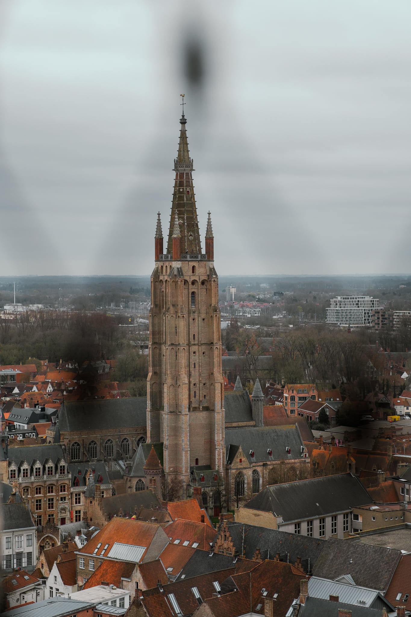 View of the Cathedral of Our Lady from the Belfry of Bruges.