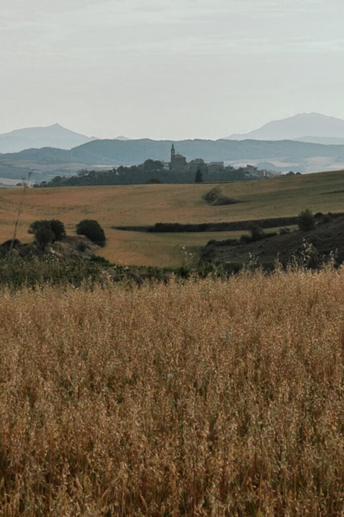 Looking back toward Sansol and Torres del Rio.