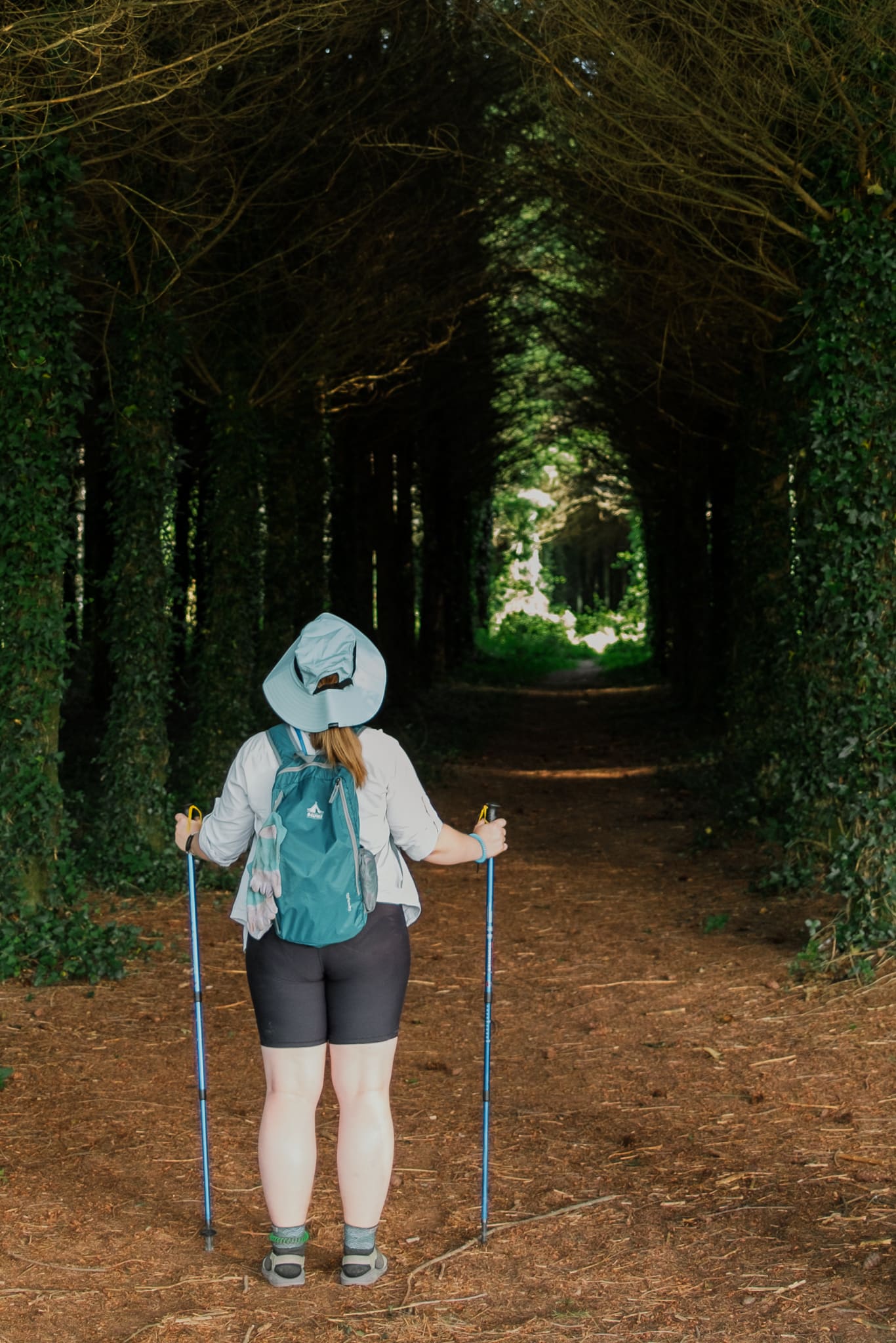 A woman wearing a backpack and holding hiking sticks looks at a gap in some trees.