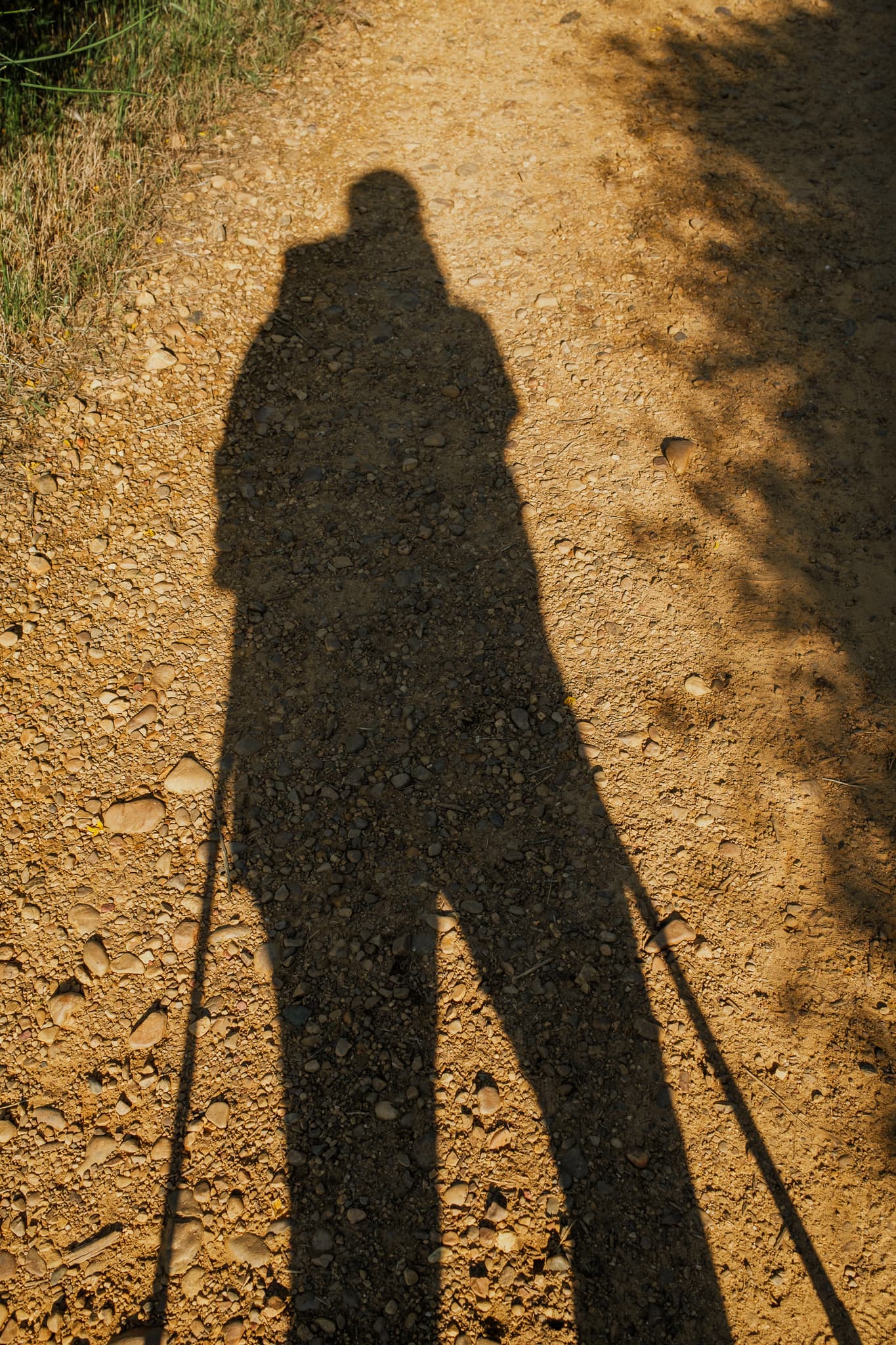 My shadow on a dirt path.