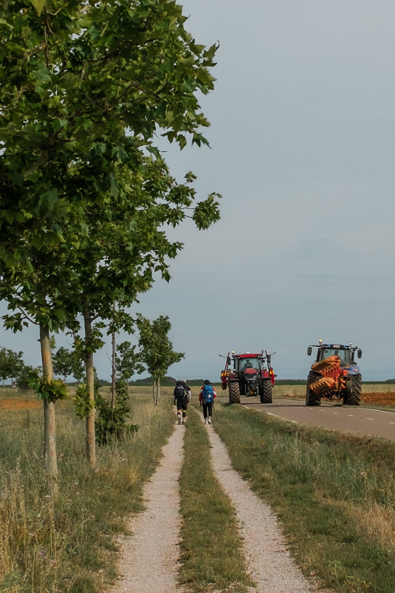 Two people walk on a gravel path beside a road, where two tractors are driving.