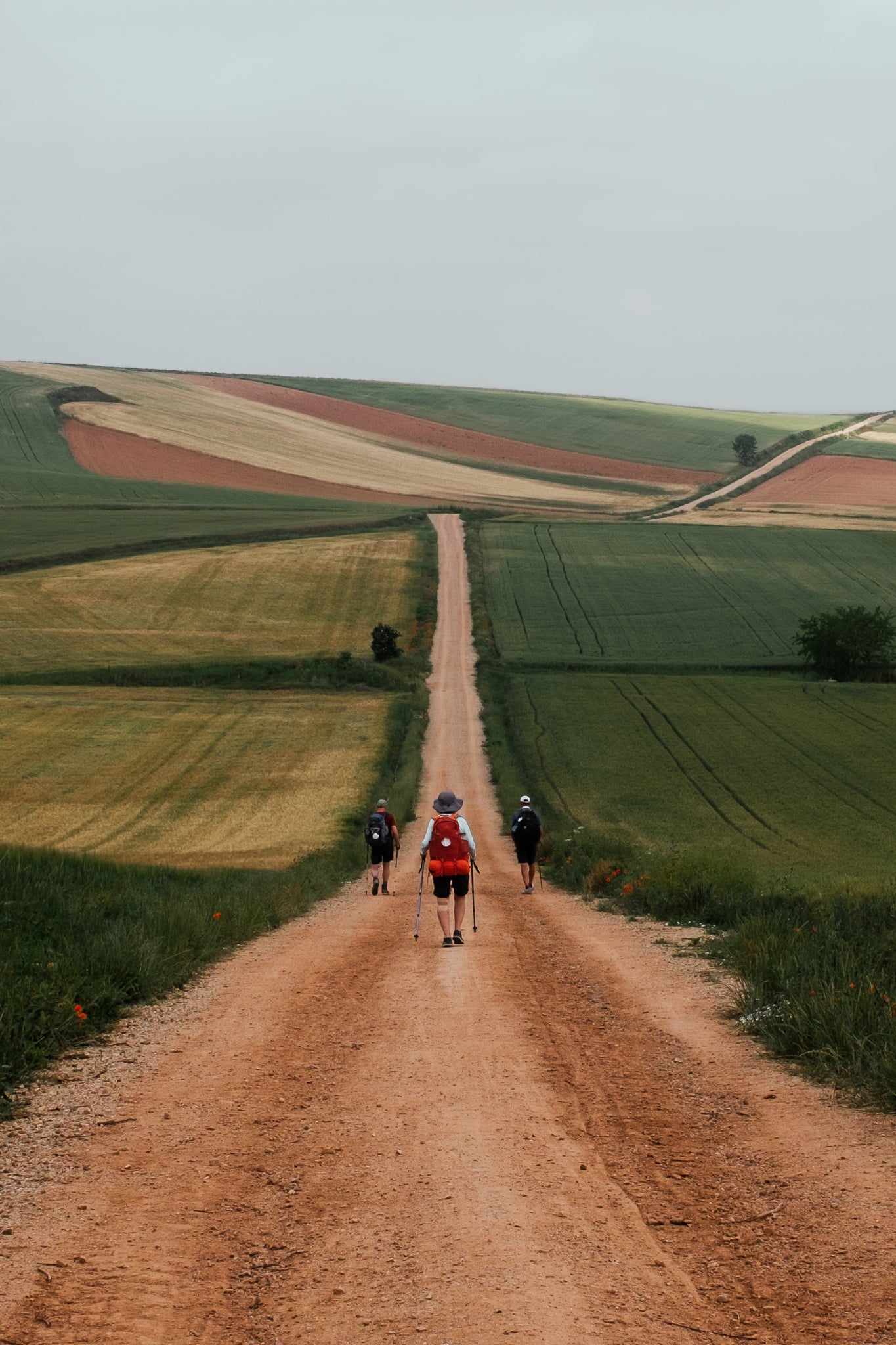 Three people walk down a wide dirt road that stretches out between fields.
