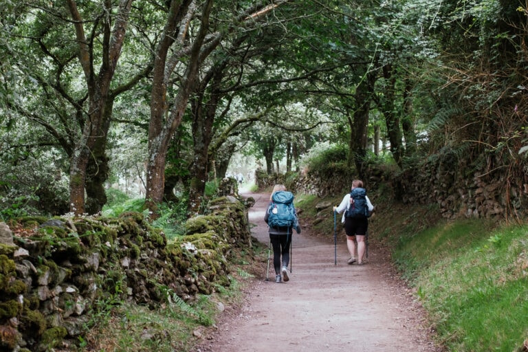 Pilgrims walking on a path through the woods.