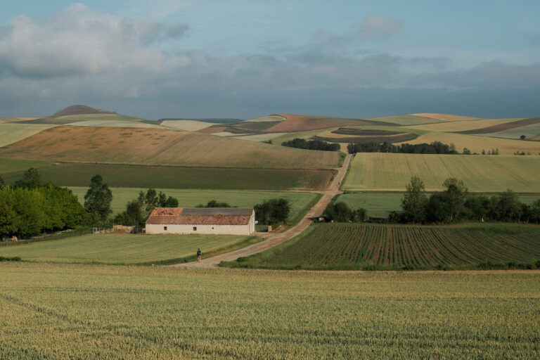 What to Know About Walking the Camino de Santiago Alone