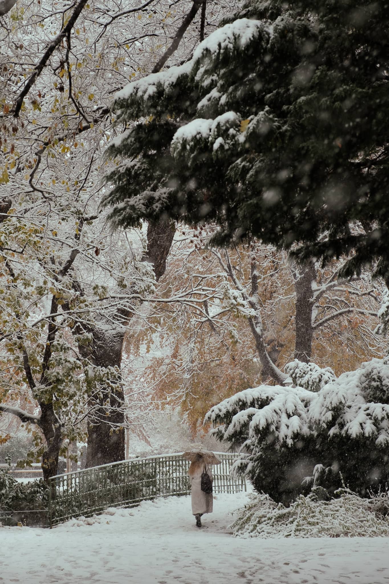 A woman walks through a park in Vienna during a snowstorm.