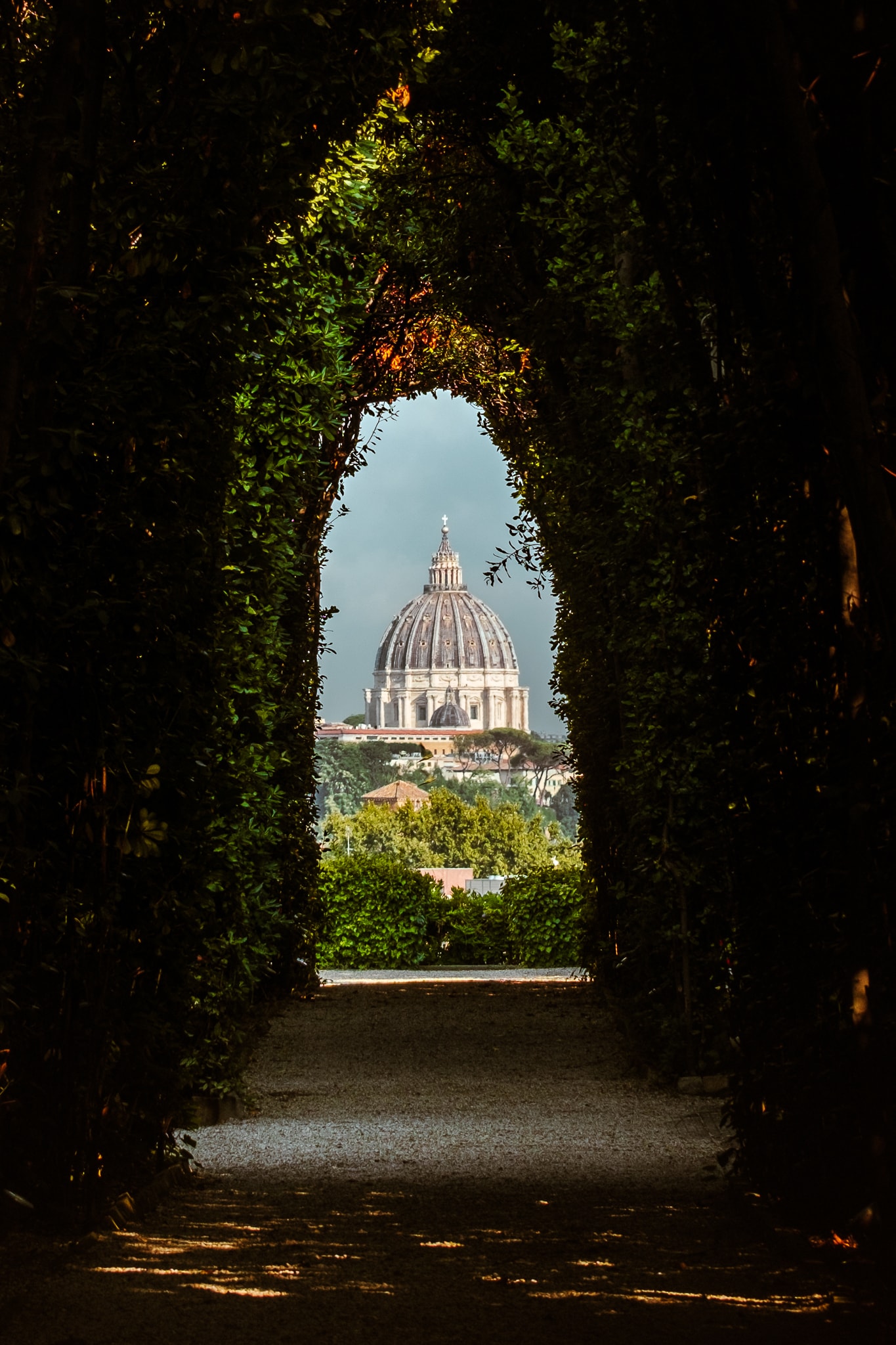 St. Peter's in Vatican City is visible through hedges in Rome.