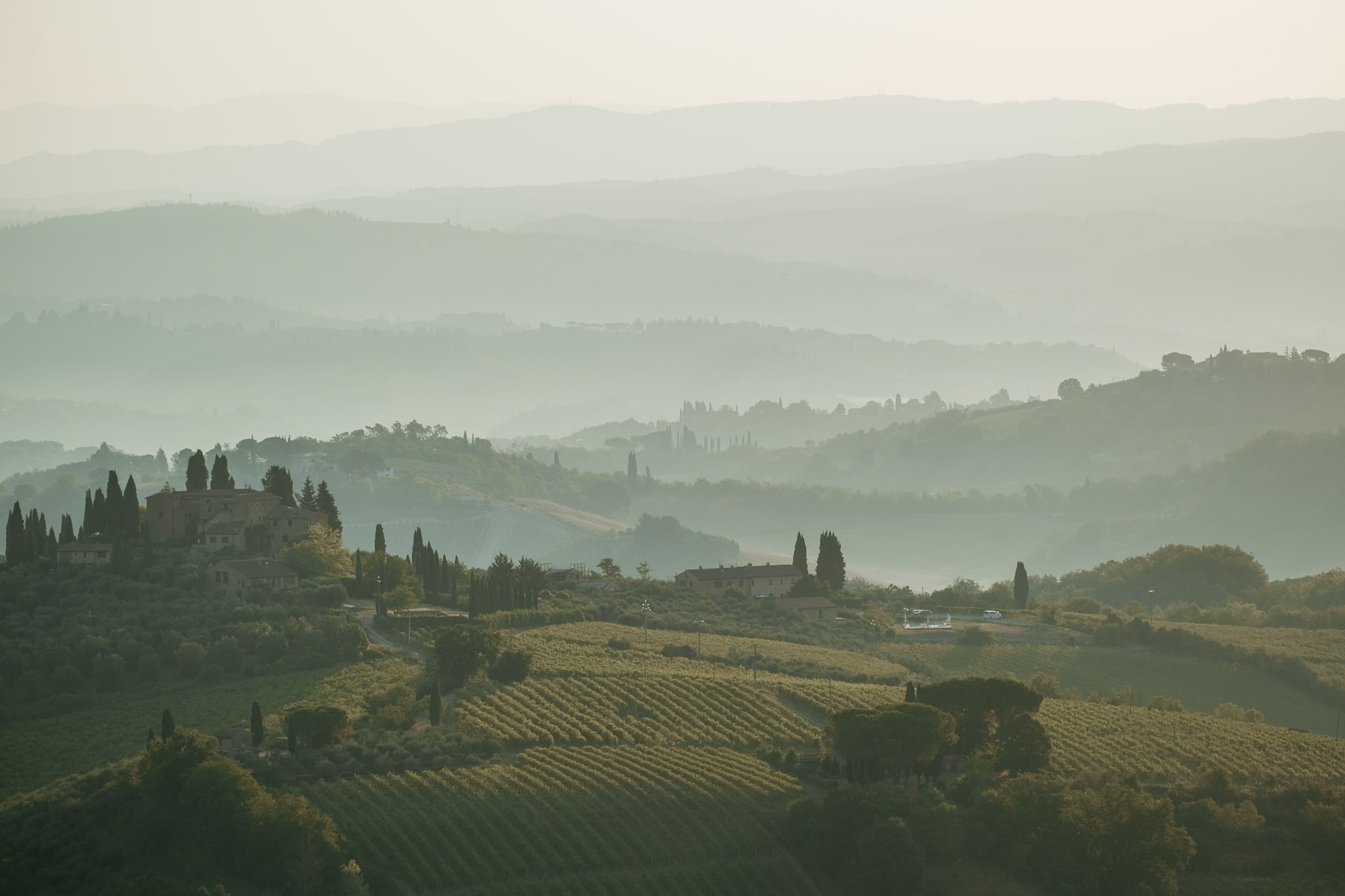 The endlessly rolling hills of Tuscany, glowing in the early morning light.