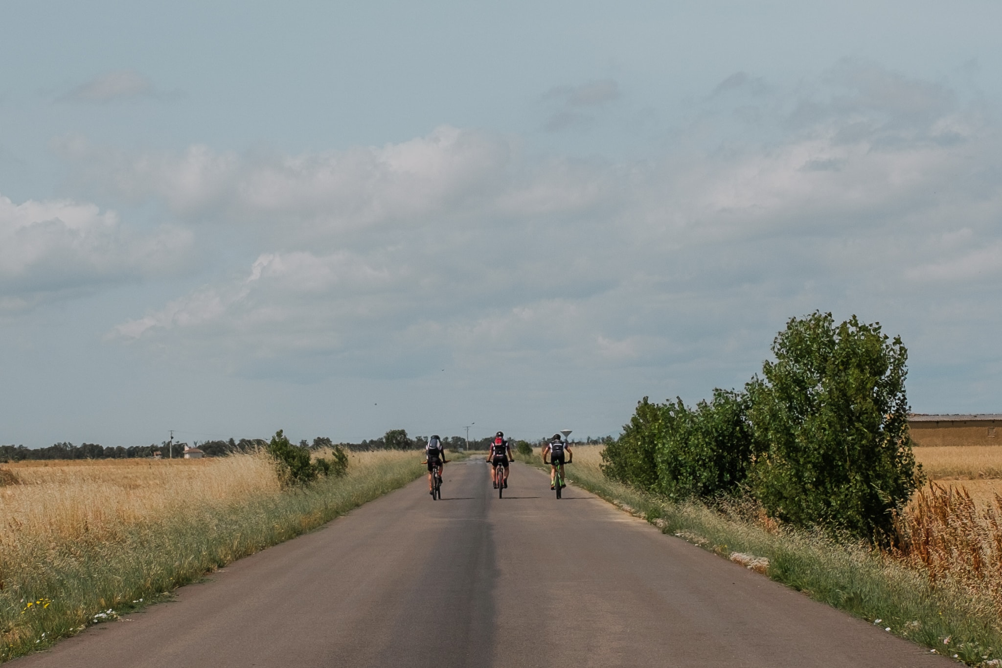 Three people riding bicycles on a road between fields.