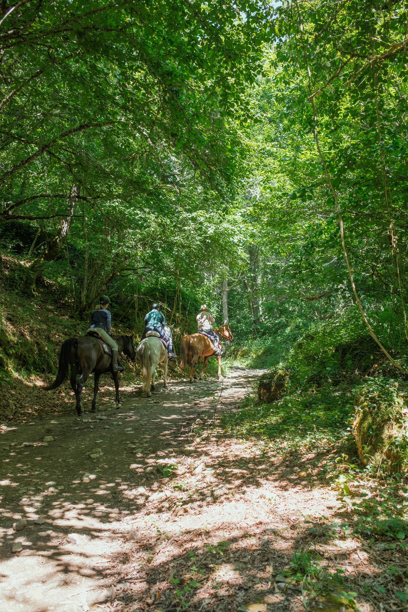 People riding horses on a trail through the woods.