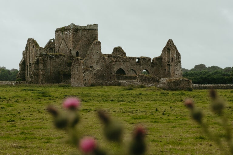 Stone ruins (Hore Abbey) sit quietly amongst green grass. In the foreground are blurry pink weeds.