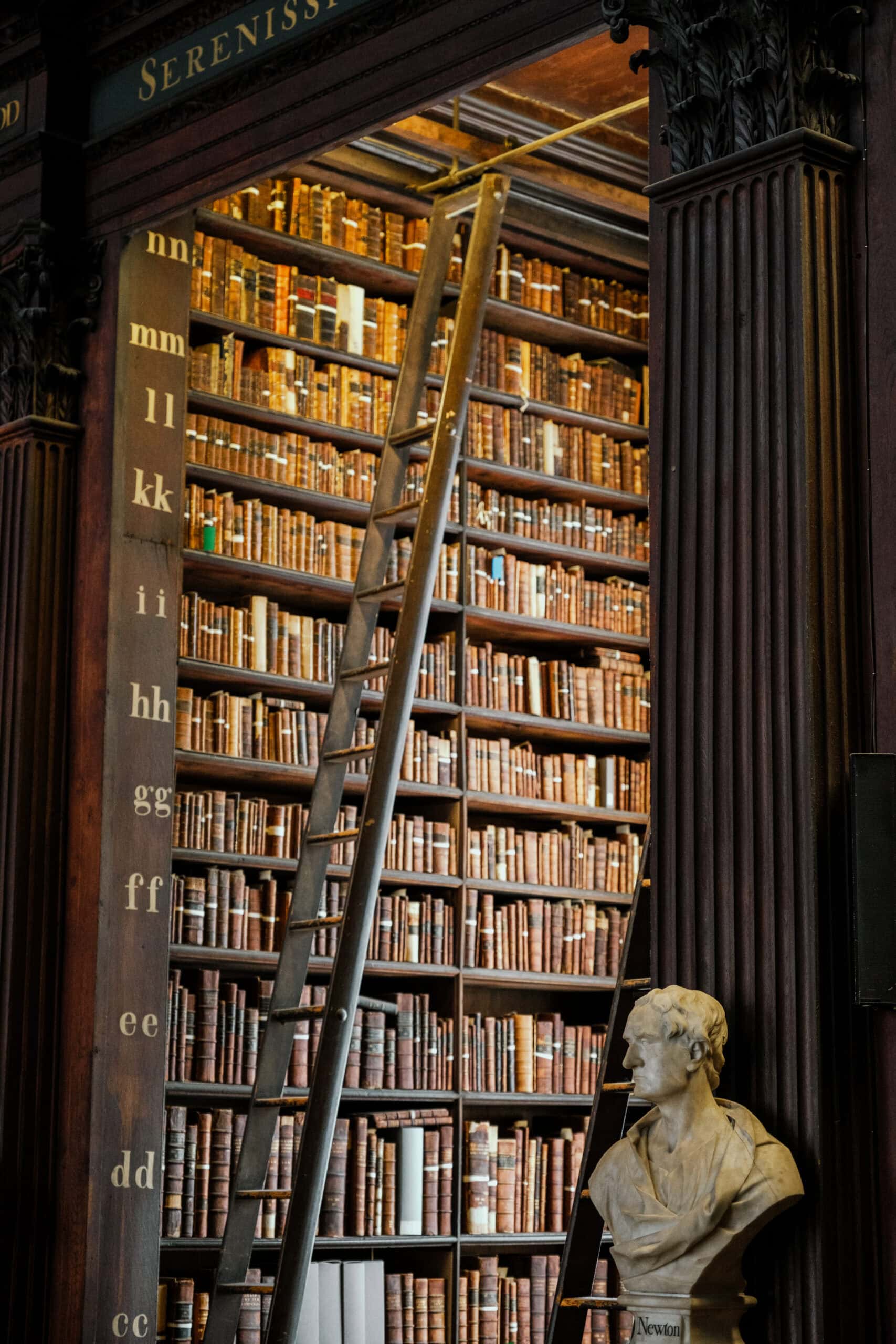 More than a dozen shelves filled with old books. A ladder sits ready to help visitors access the higher books.