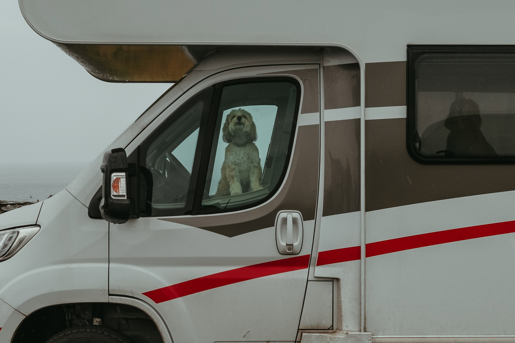 A dog howls beside a window in a camper van.