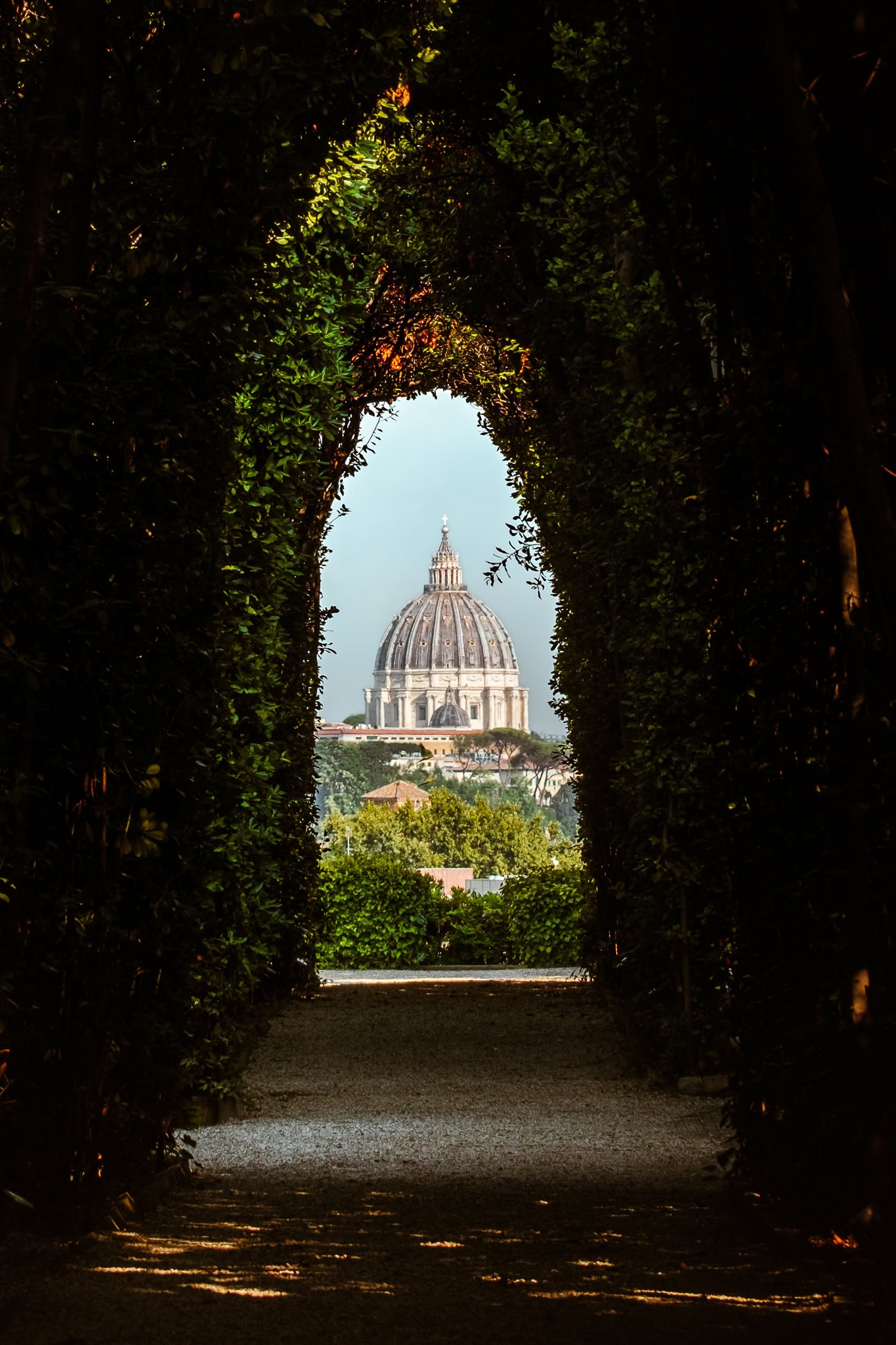 St. Peter's Basilica, framed by arched greens in a garden.